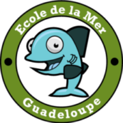 ecole_de_la_mer_guadeloupe
