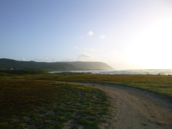 P1000267