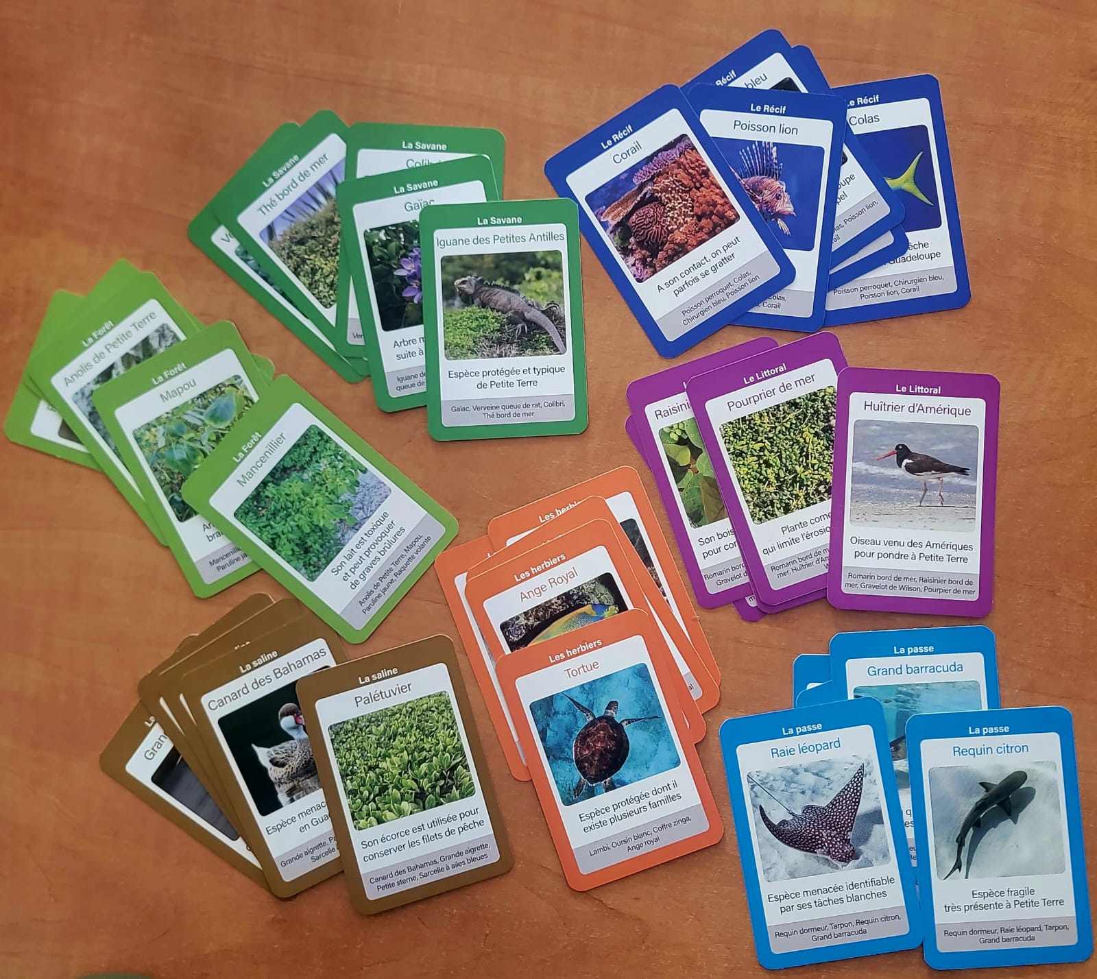 Jeu 7 familles_Ecole de Calvaire